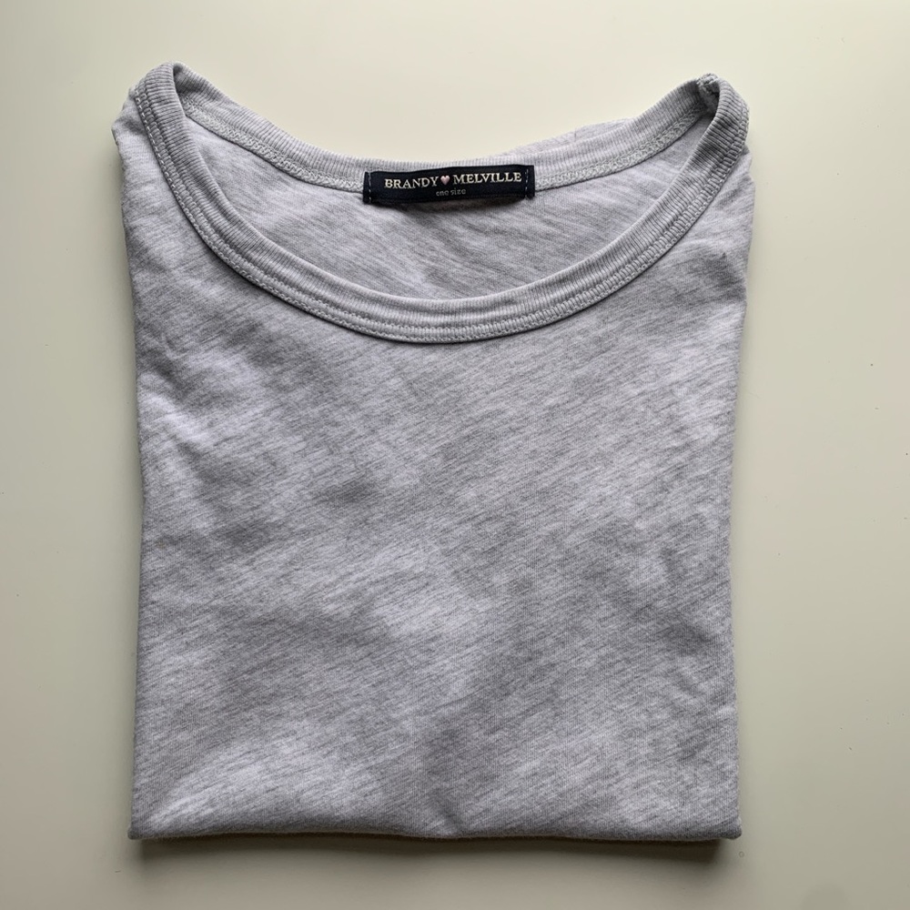 Brandy Melville Gray Crop Top